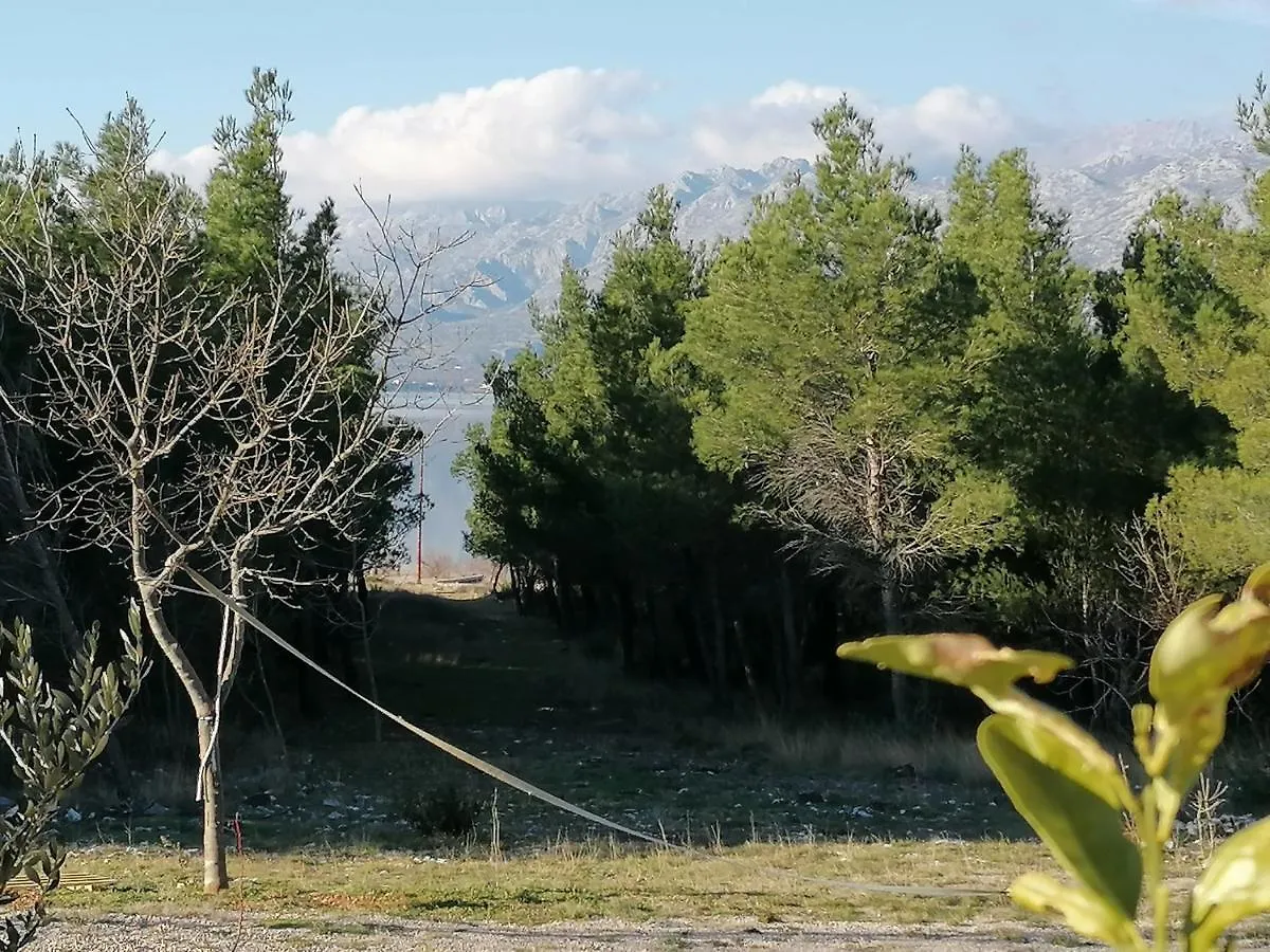 Holiday House Roncevic 50 M From Sea A1 Jasenice  Apartment